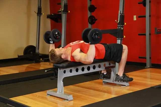 Dumbbell Bench Press starting position