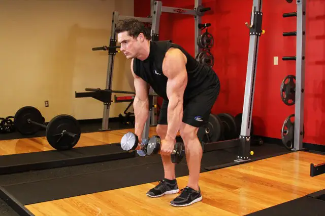 Dumbbell Row starting position