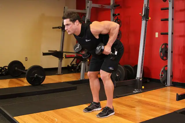 Dumbbell Row end position
