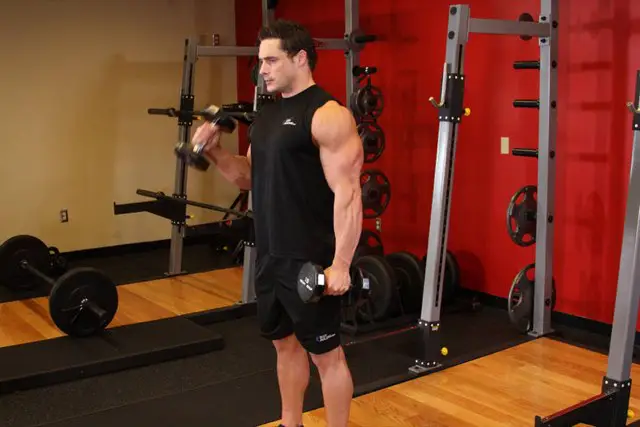 Hammer Curls starting position