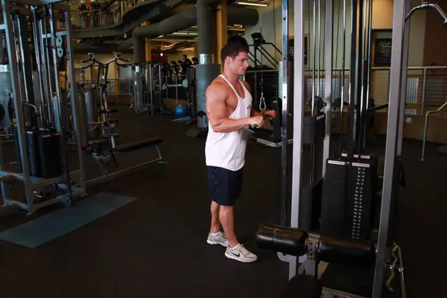 Triceps Pushdown starting position