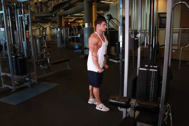 Triceps Pushdown end position
